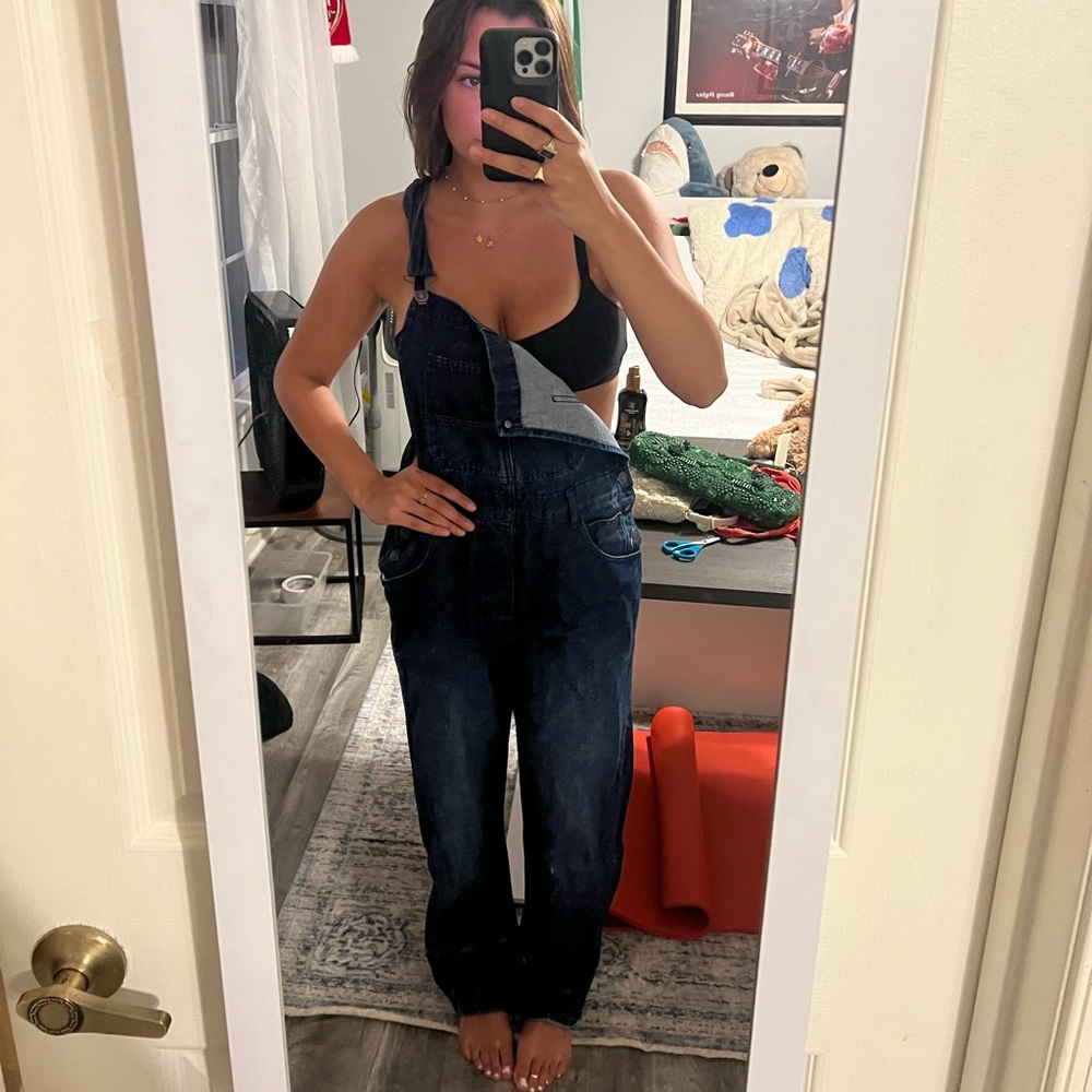 We the Free Ziggy Denim Overalls